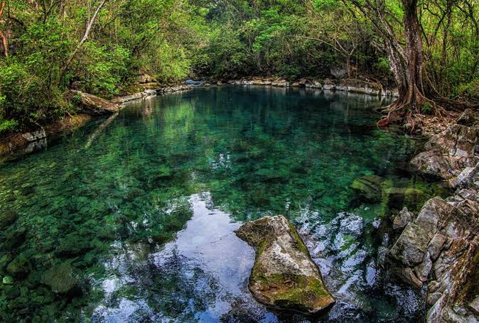 tamaulipas-la-biosfera-del-cielo