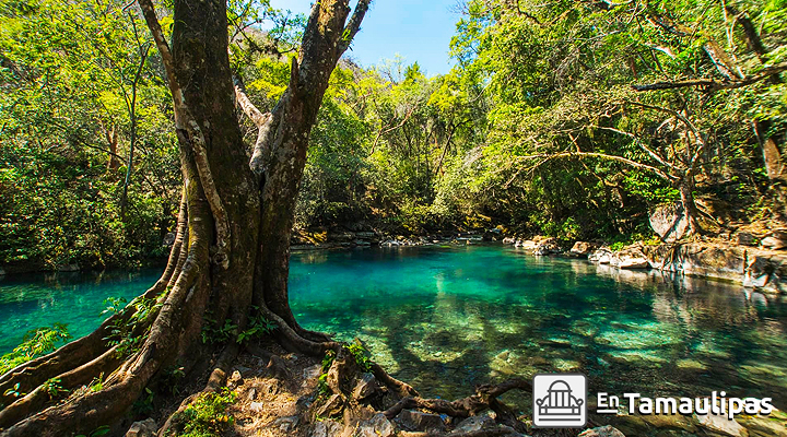 Poza Azul un paraíso de aguas turquesas en Tamaulipas