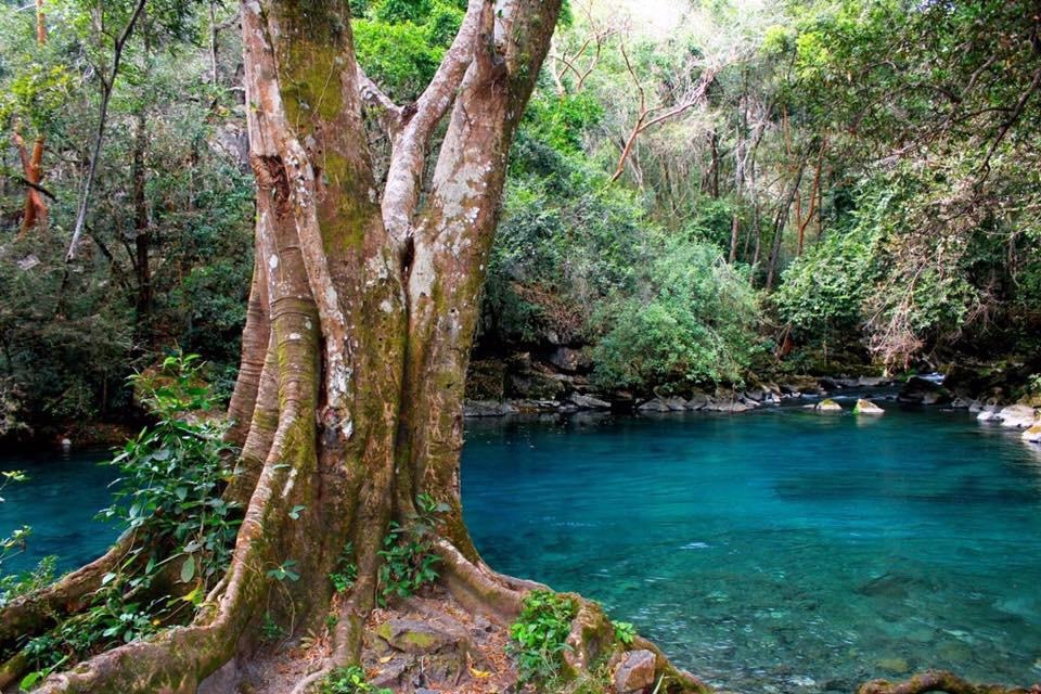 Poza Azul