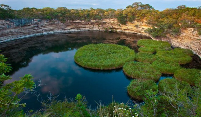 Biósfera El Cielo Tamaulipas