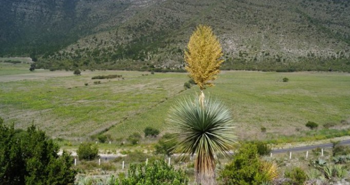 Jaumave atractivos naturales